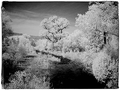 White River View